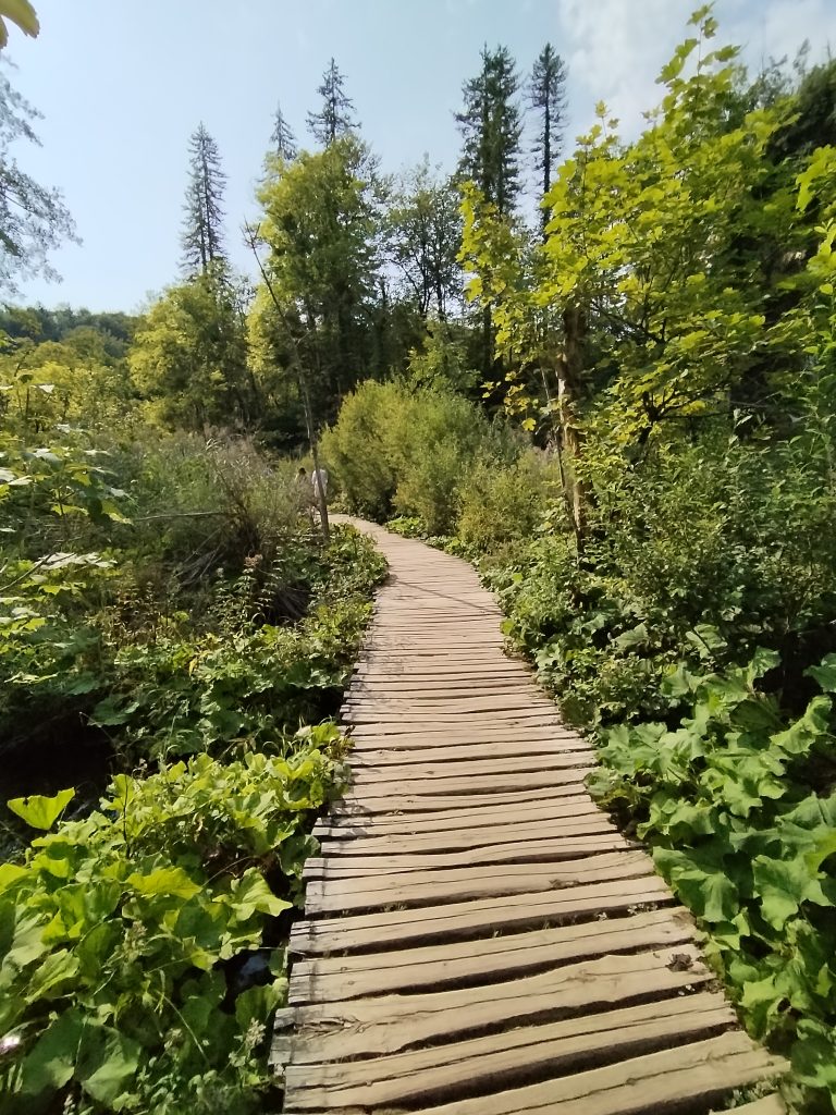 Belgrade to Plitvicka jezera
