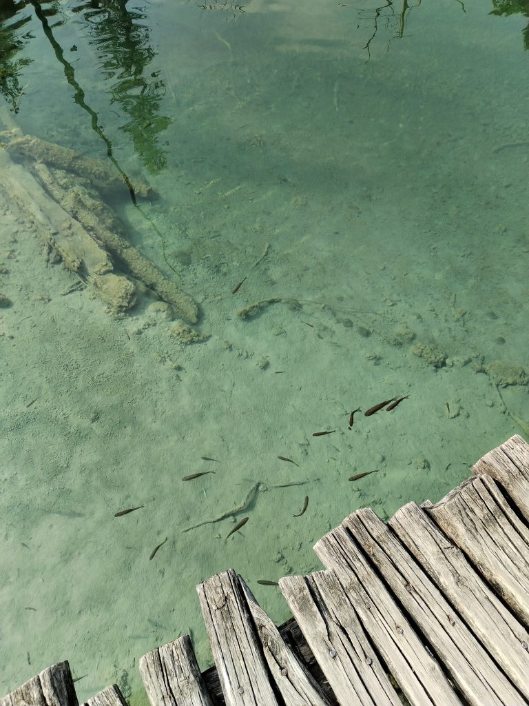 Private tour belgrade plitvice